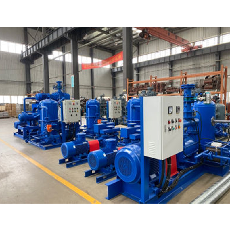 Liquid Ring Vacuum Pump (Unit)