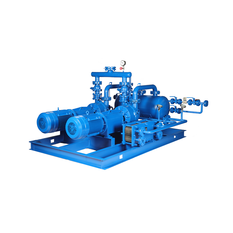 Liquid Ring Vacuum Pump (Unit)