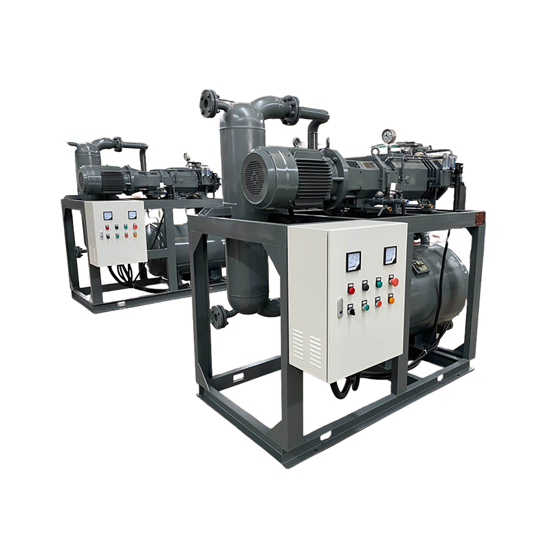 Oil-Free Screw Vacuum Pump (Unit)