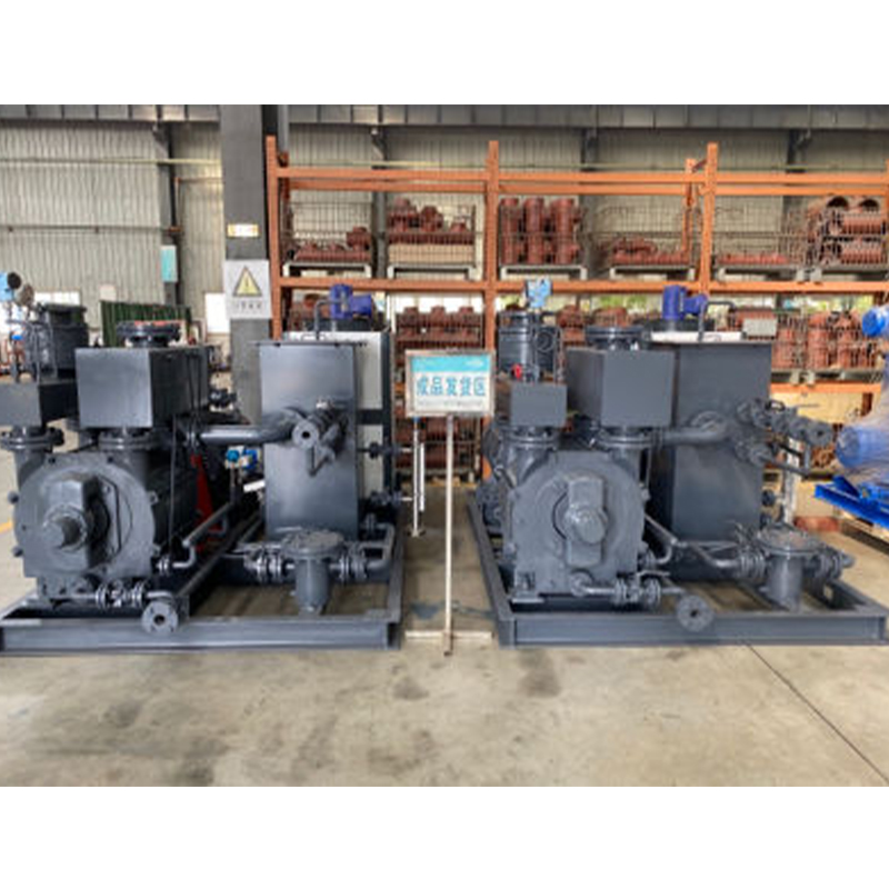 Liquid Ring Vacuum Pump (Unit)