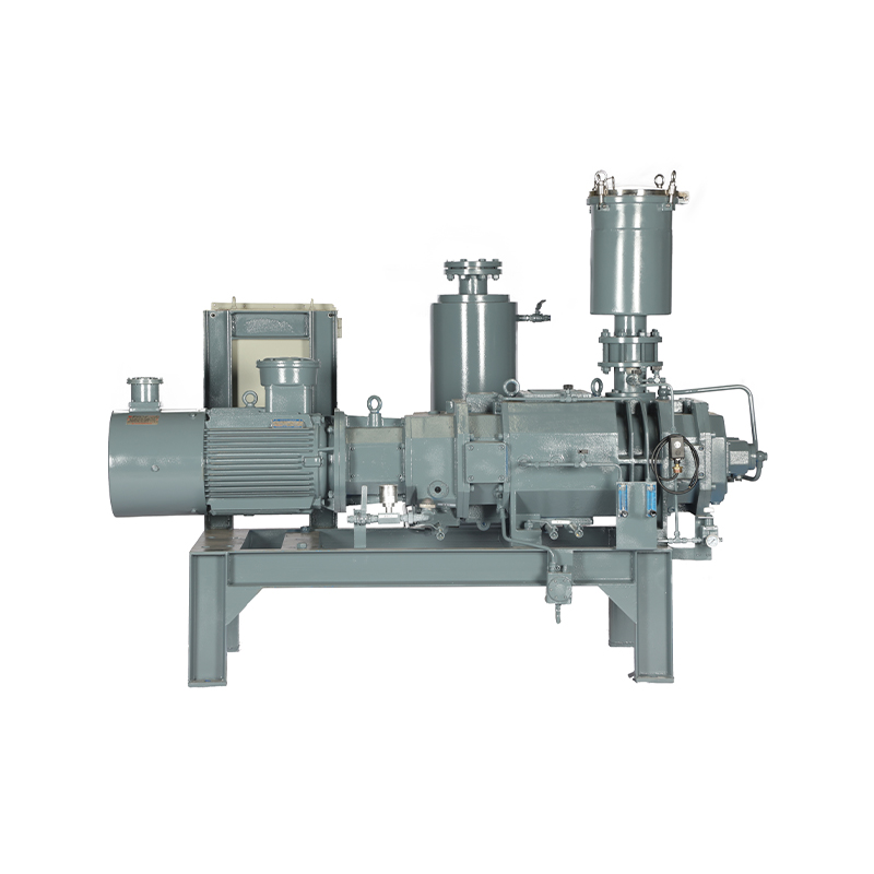 Oil-Free Screw Vacuum Pump (Unit)