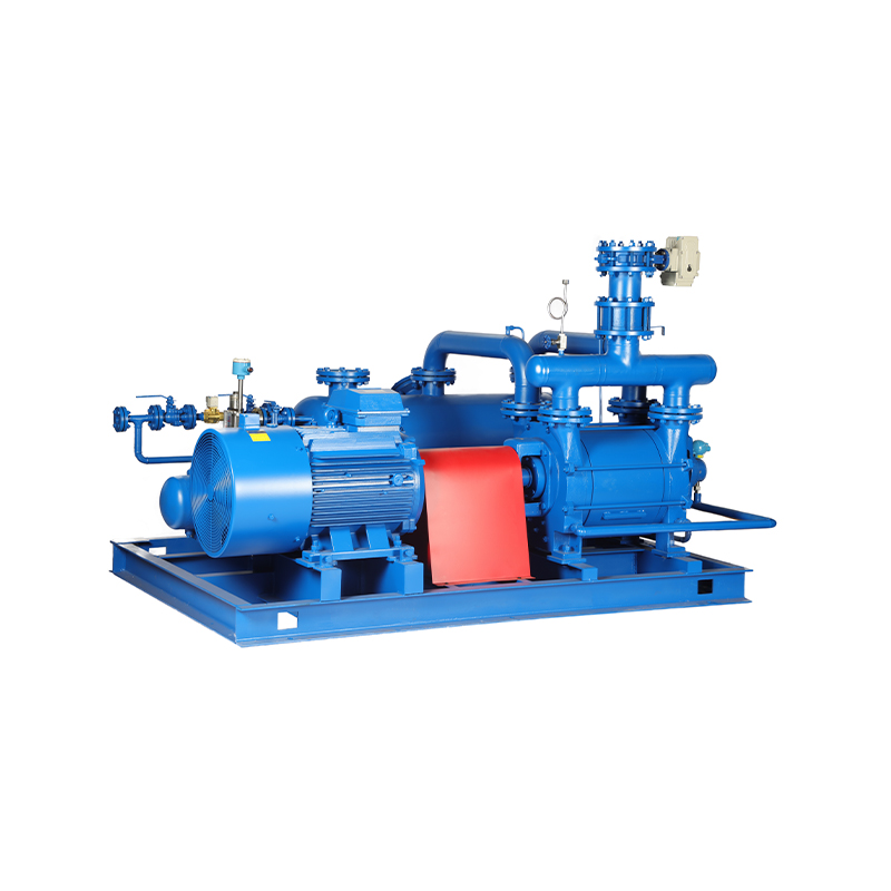 Liquid Ring Vacuum Pump (Unit)
