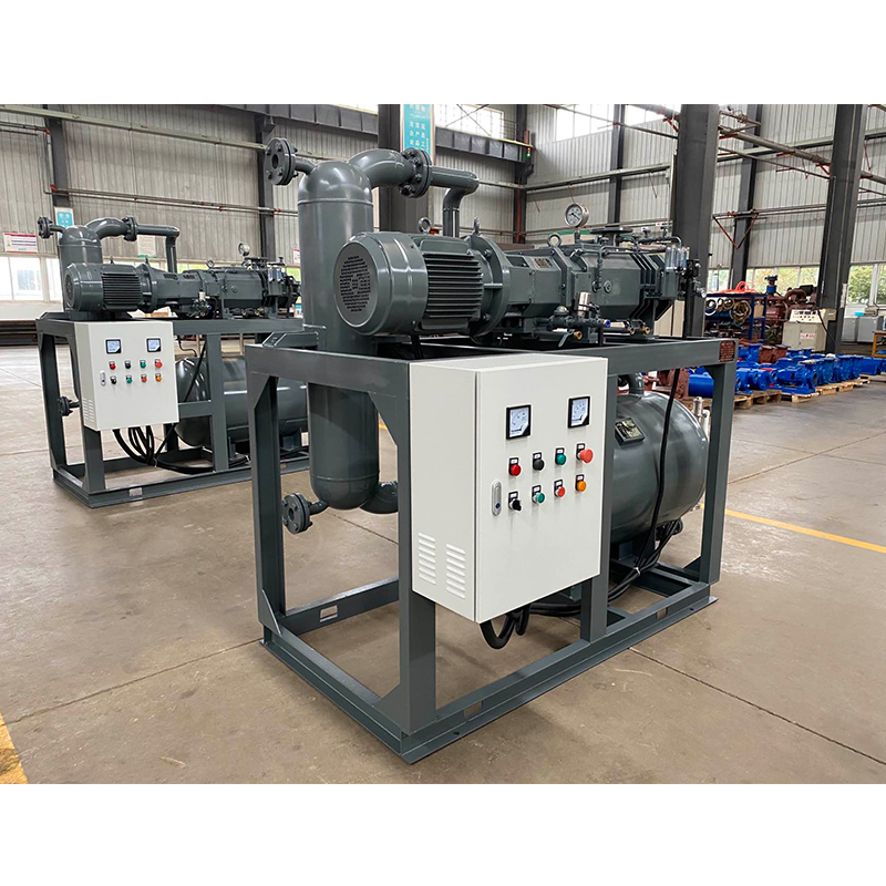 Oil-Free Screw Vacuum Pump (Unit)