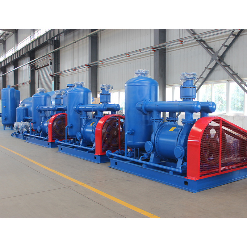 Liquid Ring Vacuum Pump (Unit)