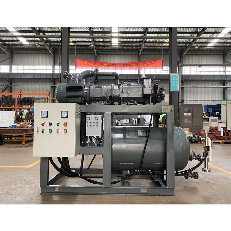 Oil-Free Screw Vacuum Pump (Unit)