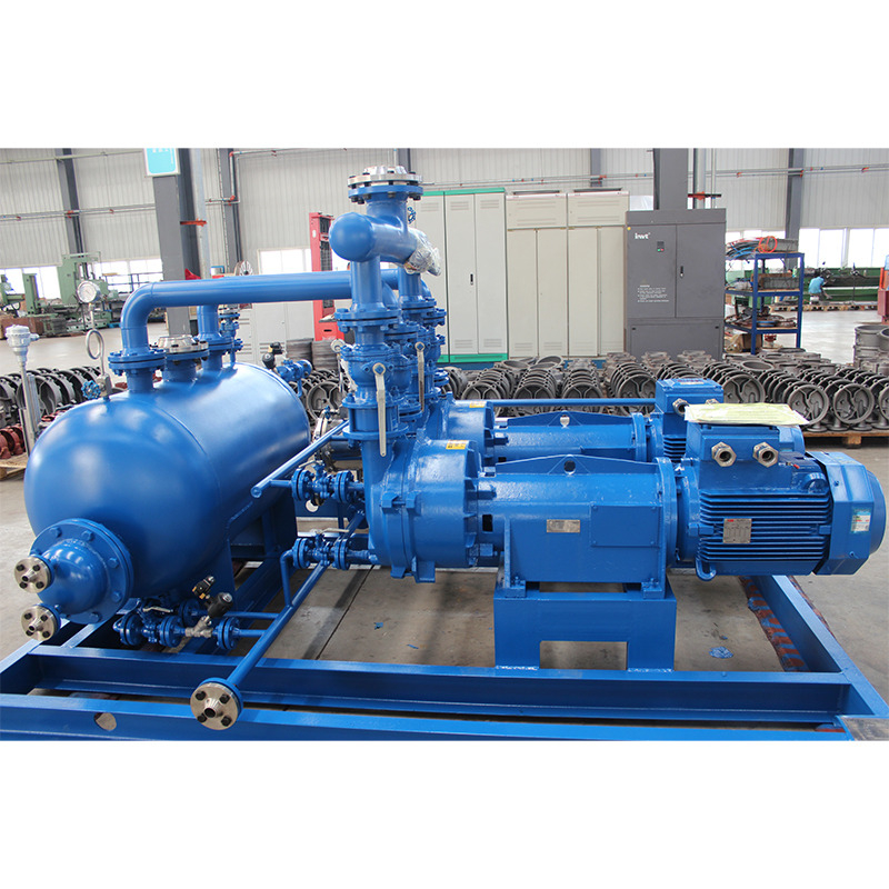 Liquid Ring Vacuum Pump (Unit)
