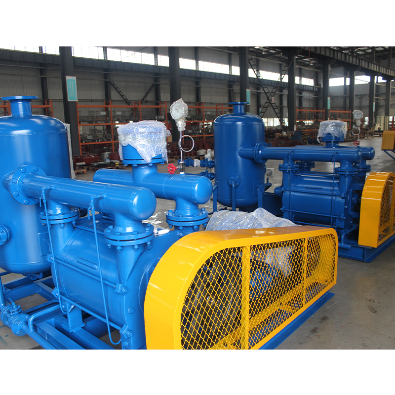 Liquid Ring Vacuum Pump (Unit)