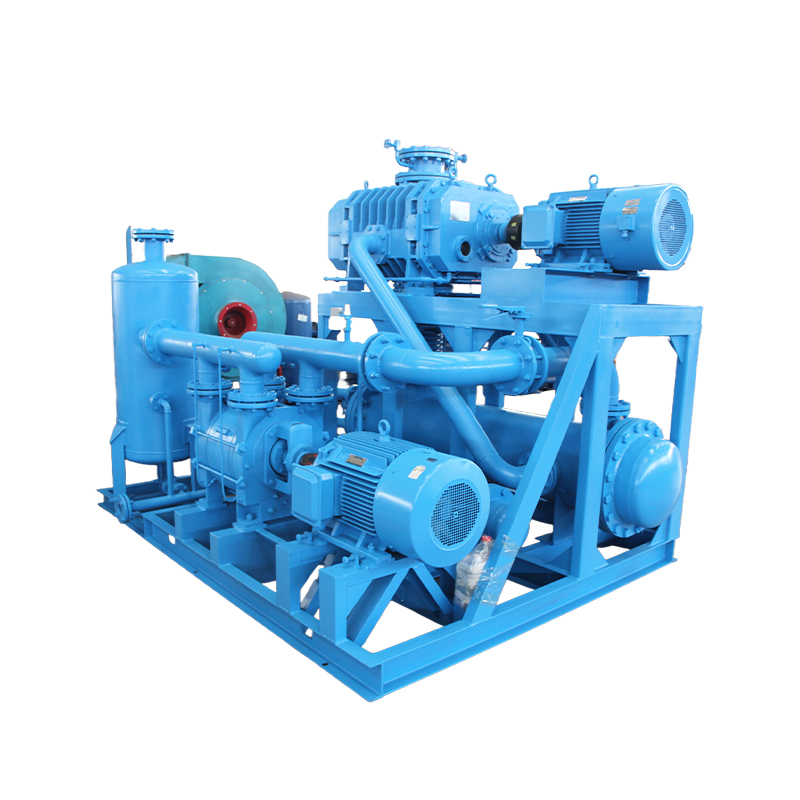 Roots Liquid Ring Vacuum Pump (Unit)