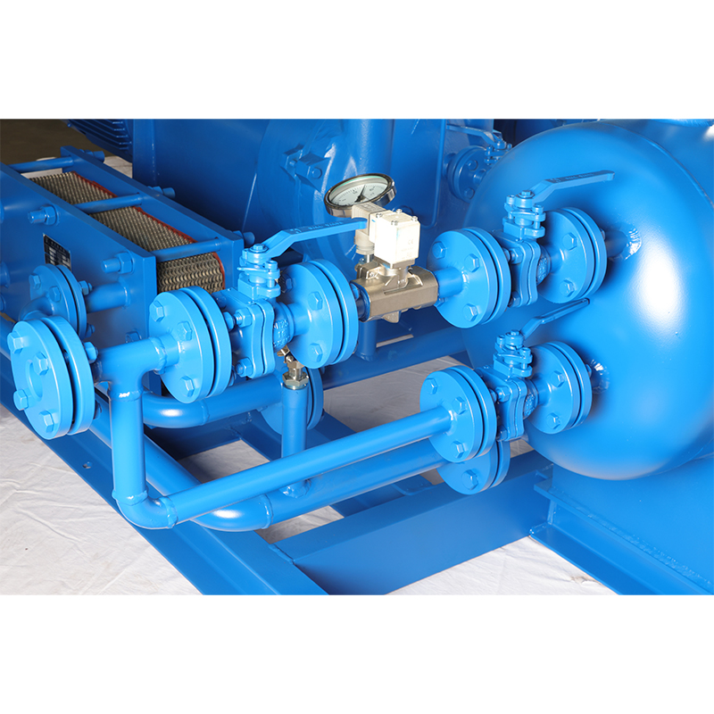 Liquid Ring Vacuum Pump (Unit)