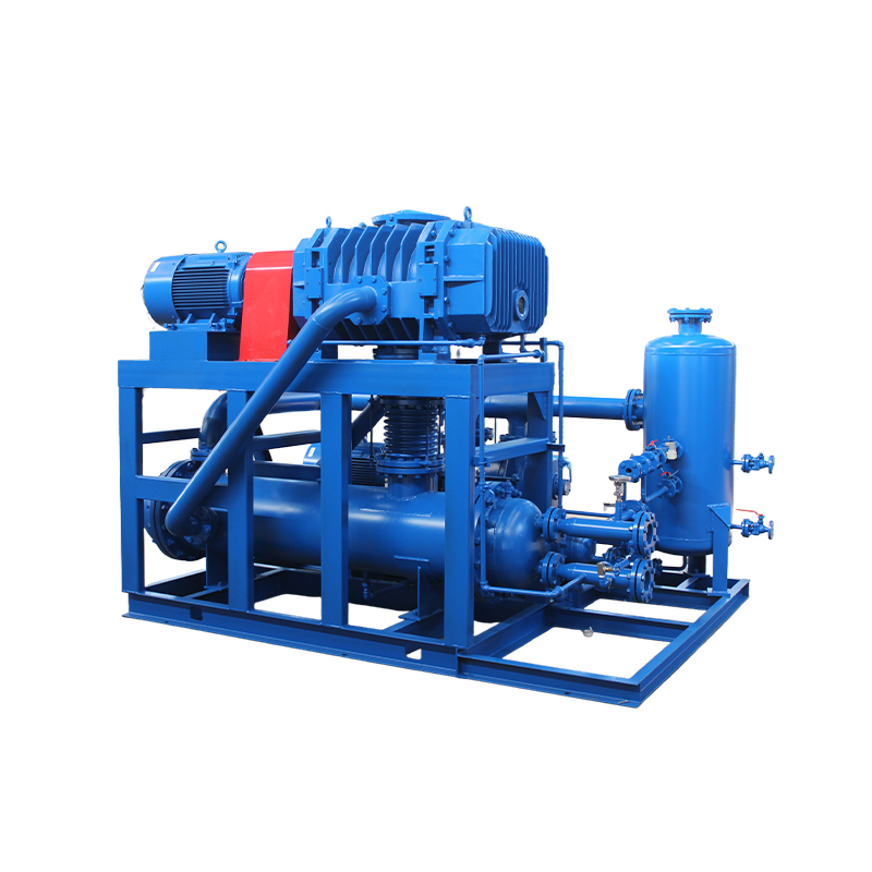 Roots Liquid Ring Vacuum Pump (Unit)