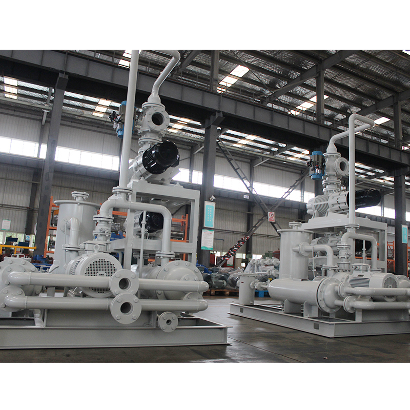 Roots Liquid Ring Vacuum Pump (Unit)