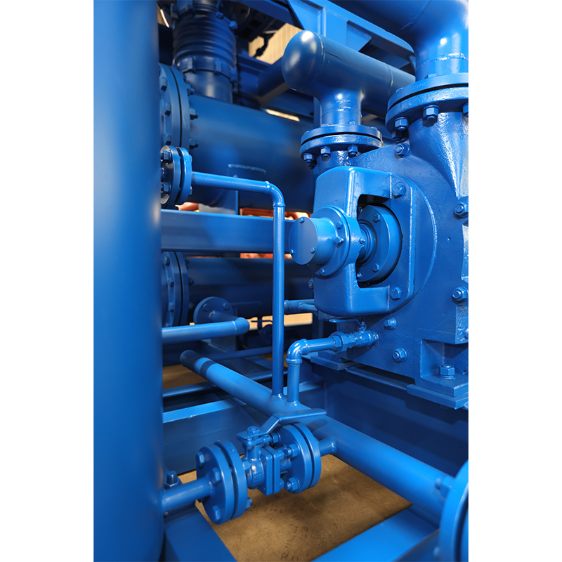 Roots Liquid Ring Vacuum Pump (Unit)