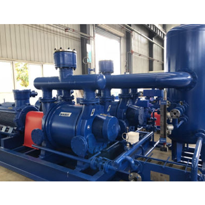 Liquid Ring Vacuum Pump (Unit)