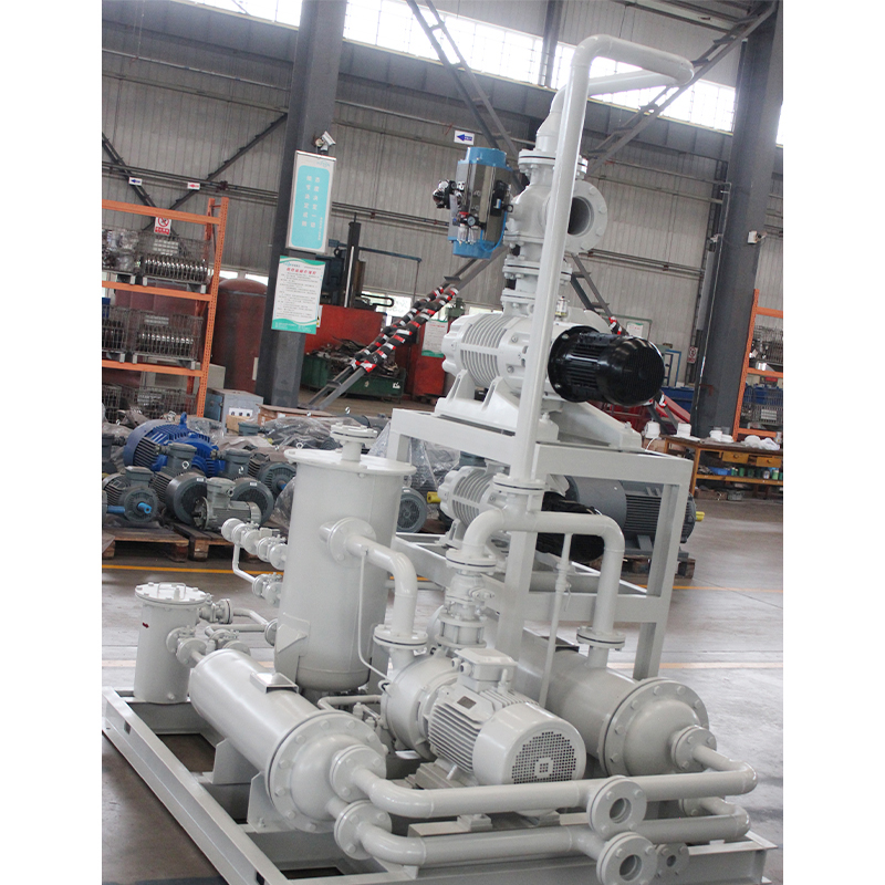 Roots Liquid Ring Vacuum Pump (Unit)