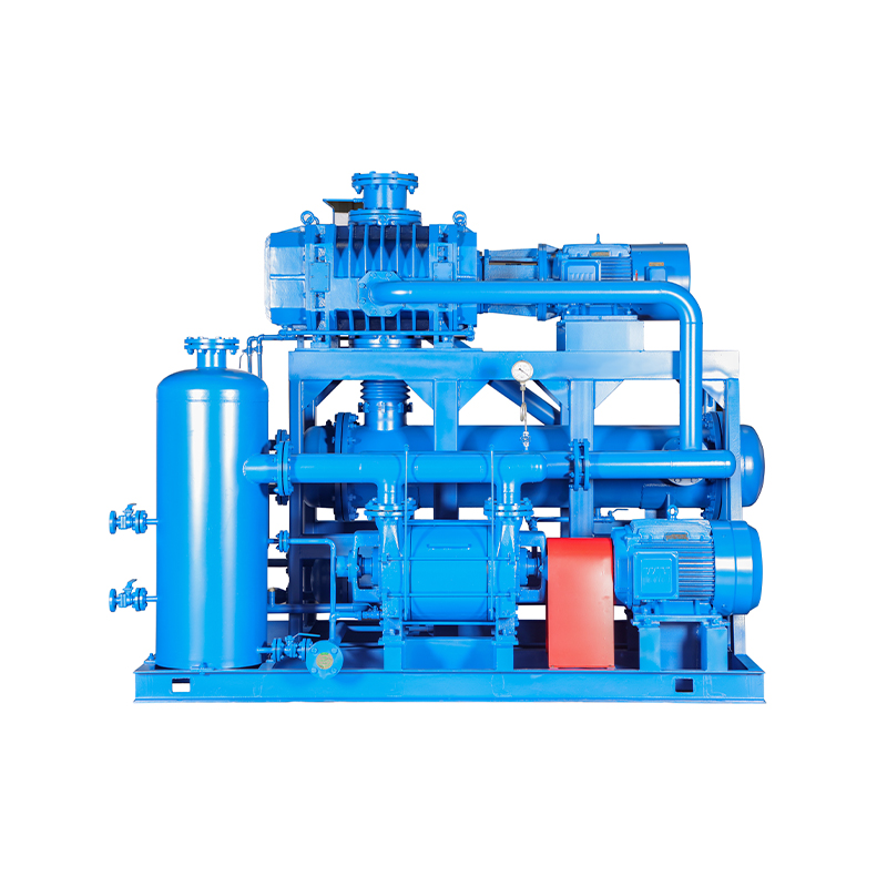 Roots Liquid Ring Vacuum Pump (Unit)