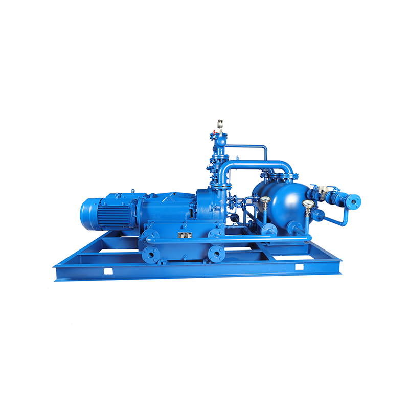 Liquid Ring Vacuum Pump (Unit)