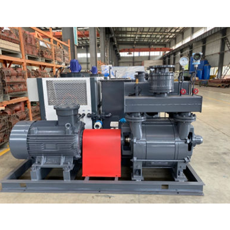 Liquid Ring Vacuum Pump (Unit)
