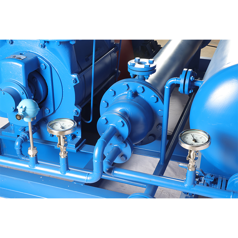Liquid Ring Vacuum Pump (Unit)