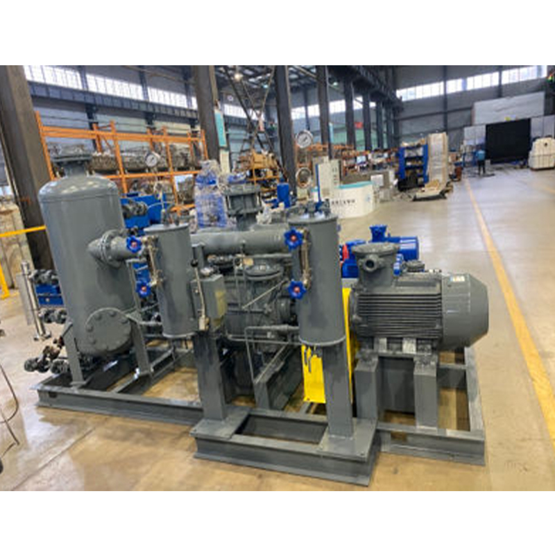 Liquid Ring Vacuum Pump (Unit)