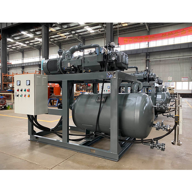 Oil-Free Screw Vacuum Pump (Unit)