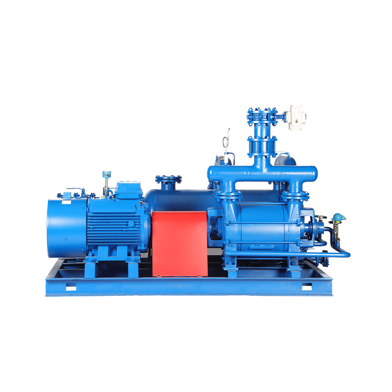 How does the vibration frequency of the liquid ring of a liquid ring vacuum pump (unit) change under varying operating conditions?