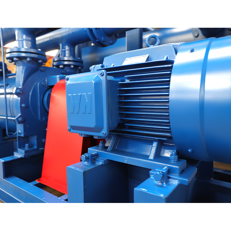 How does the backing vacuum pump function to maintain a safe pressure differential and compression ratio for the Roots pump?